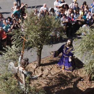 Oración de Jesús en el Huerto de los Olivos. - Vera Cruz - Junta Pro Semana Santa de Zamora
