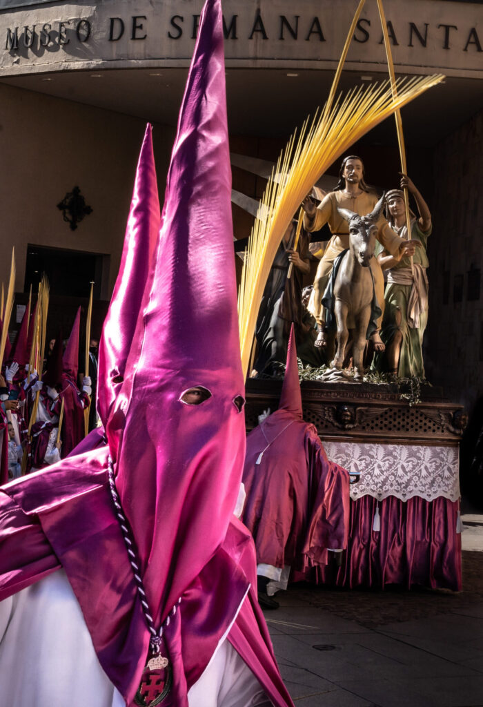 Domingo de Ramos - Entrada triunfal en Jerusalen - Junta Pro Semana Santa de Zamora